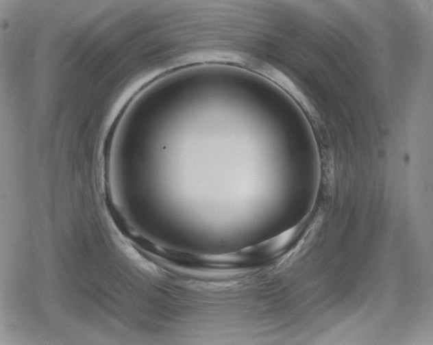 X0000080111140200612081220