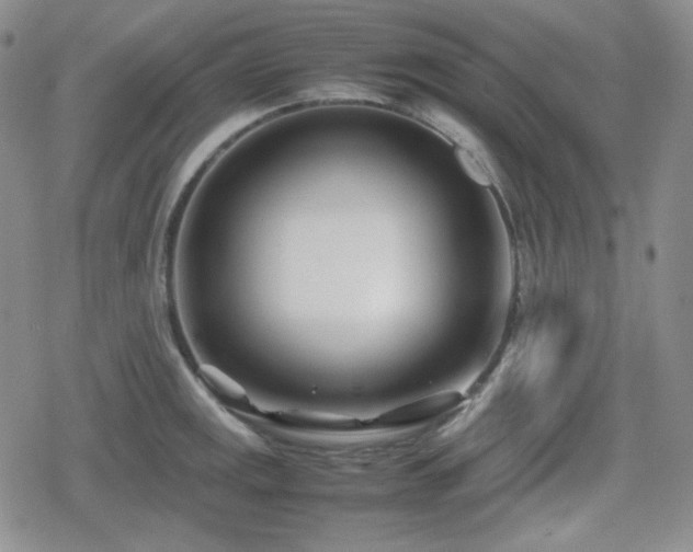 X0000080111141200612081220