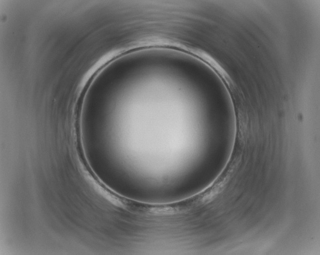 X0000080111142200612081220