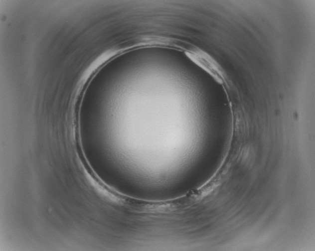 X0000080111143200612081220