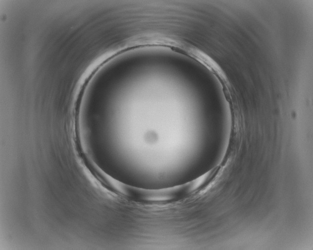 X0000080111144200612081220