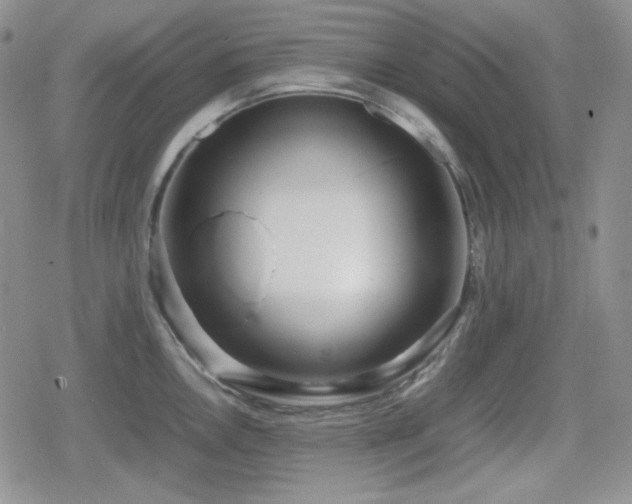 X0000080111146200612081220
