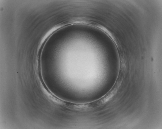 X0000080111147200612081220