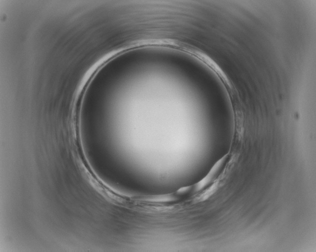 X0000080111148200612081220