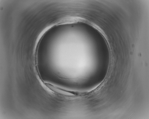 X0000080111152200612081221