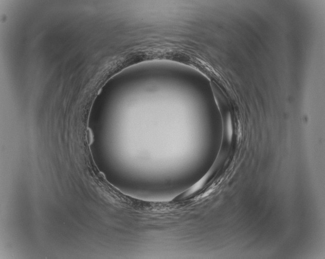 X0000080111153200612081220