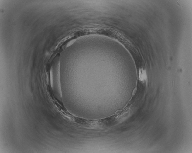X0000080111155200612081220