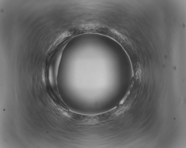 X0000080111156200612081220