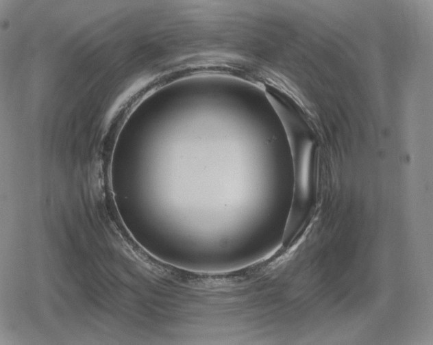 X0000080111164200612081220