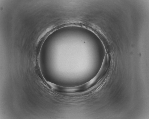 X0000080111165200612081220