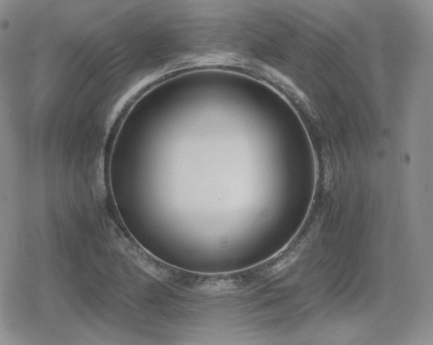 X0000080111174200612081219