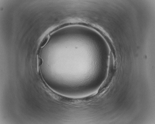 X0000080111175200612081219