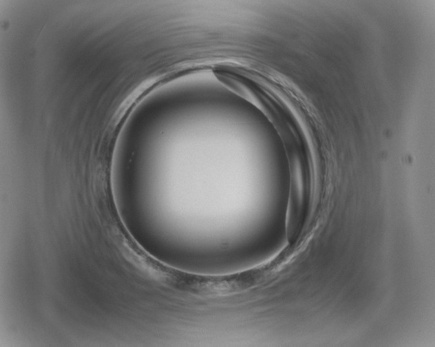 X0000080111177200612081219