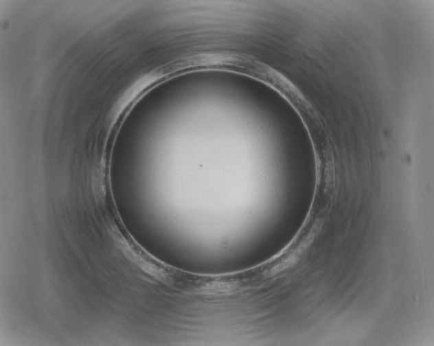 X0000080111178200612081219