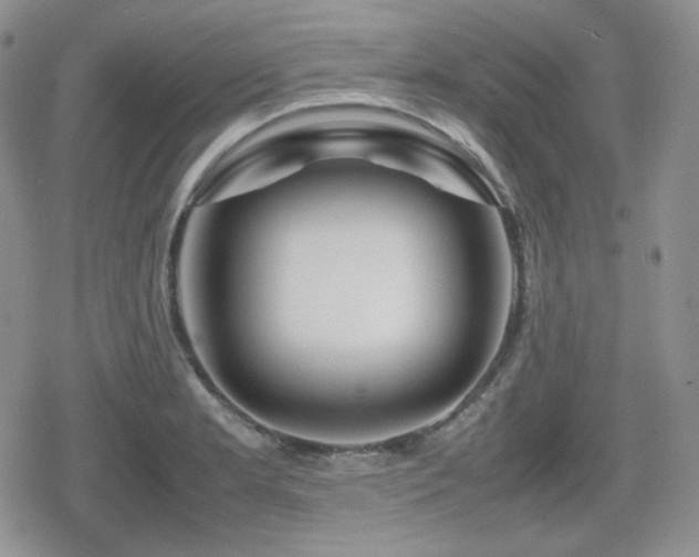 X0000080111181200612081219