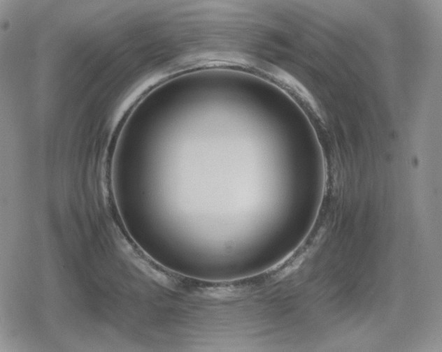 X0000080111182200612081219