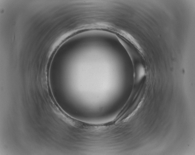 X0000080111184200612081219