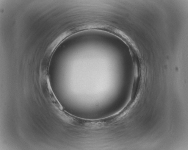 X0000080111185200612081219