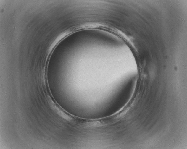 X0000080111186200612081219