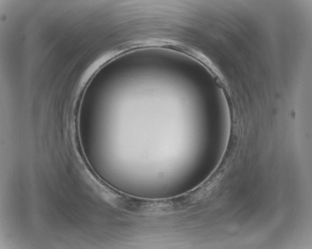 X0000080111187200612081219