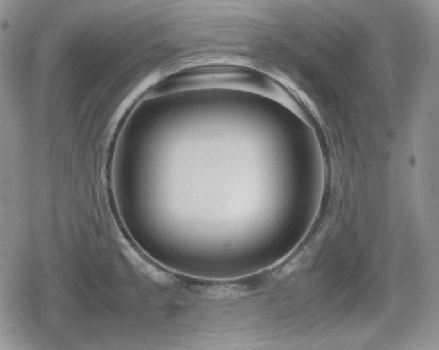 X0000080111189200612081219