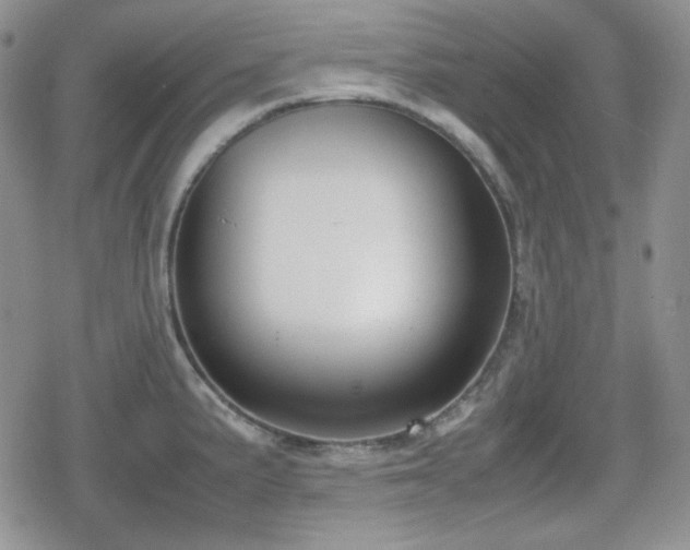X0000080111191200612081219