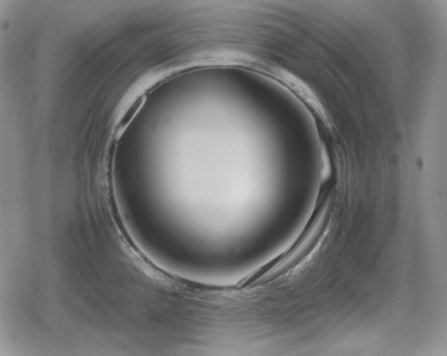X0000080111192200612081219