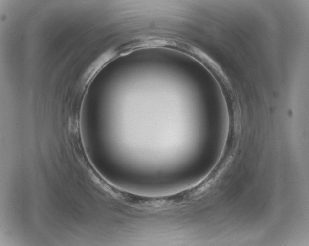 X0000080111193200612081219