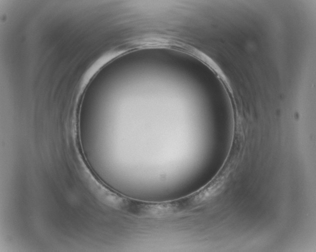 X0000080111195200612081219