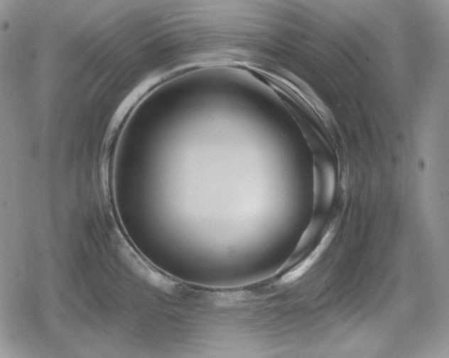 X0000080111196200612081219
