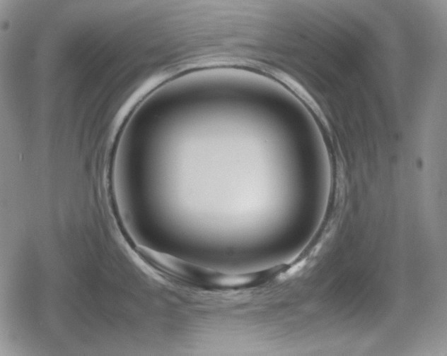 X0000080111197200612081219