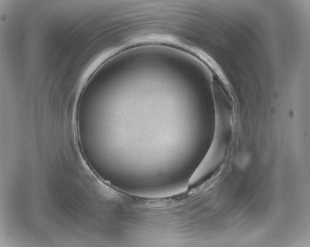 X0000080111199200612081219