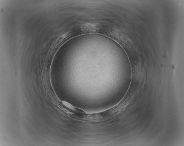 X0000080111201200612081218