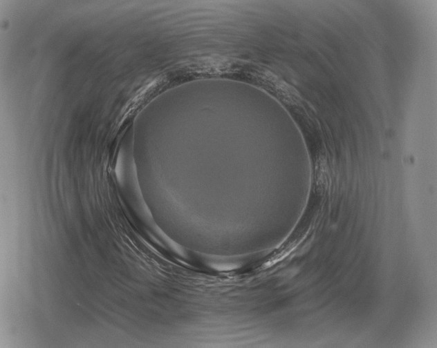 X0000080111202200612081218