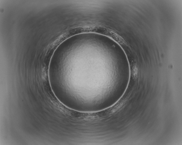 X0000080111204200612081218