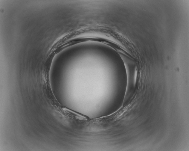 X0000080111206200612081218