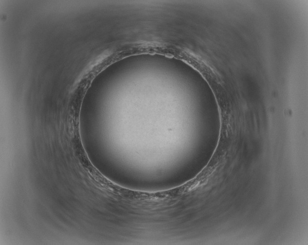 X0000080111207200612081218