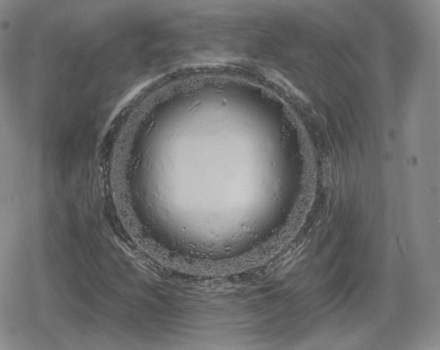 X0000080111208200612081218