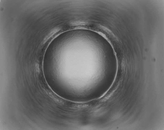 X0000080111209200612081218