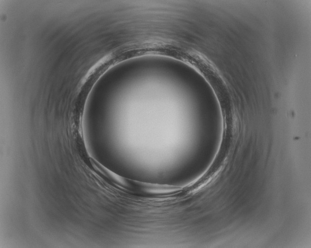 X0000080111210200612081218