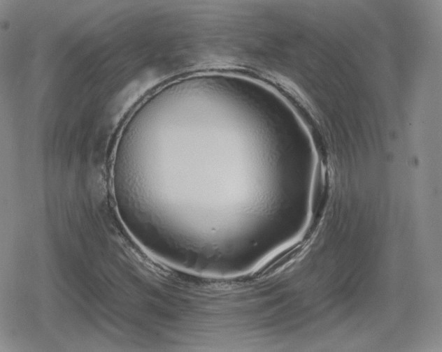 X0000080111212200612081218
