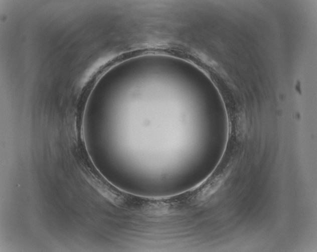 X0000080111214200612081218