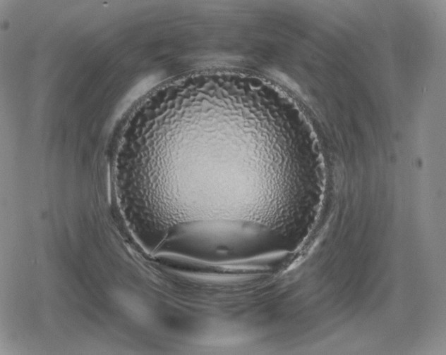 X0000080111219200612081219