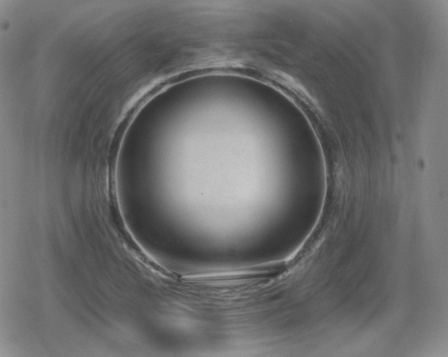 X0000080111220200612081219