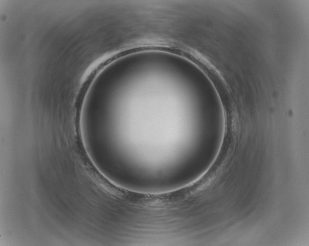 X0000080111222200612081219