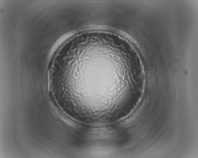 X0000080111223200612081219
