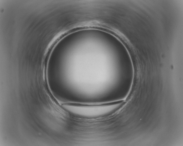 X0000080111224200612081219