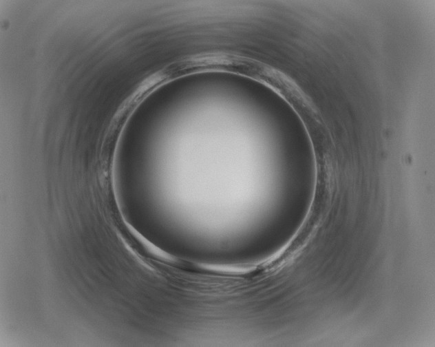 X0000080111225200612081219