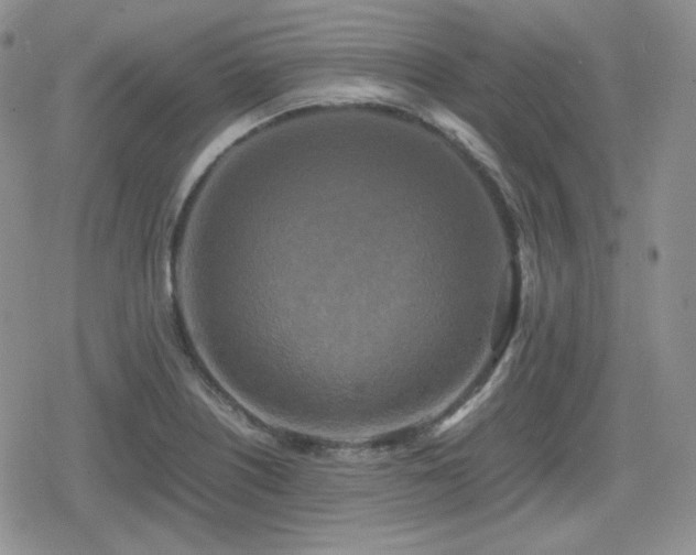 X0000080111226200612081219