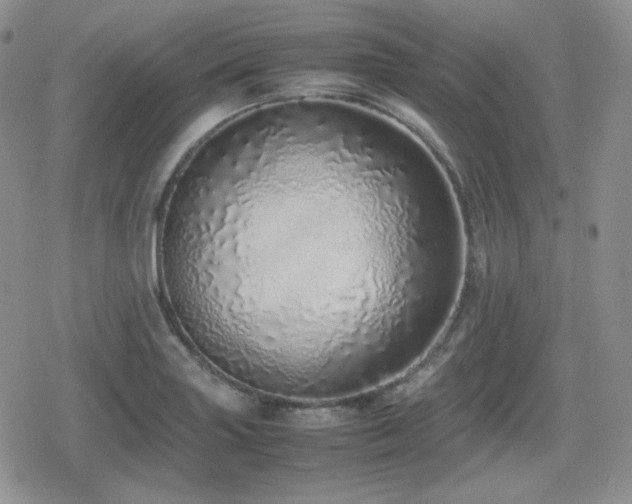 X0000080111227200612081219